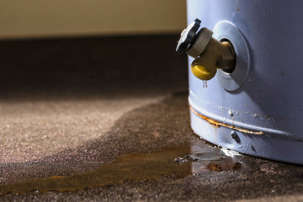 Best Water damage restoration near me  in Camilla, GA