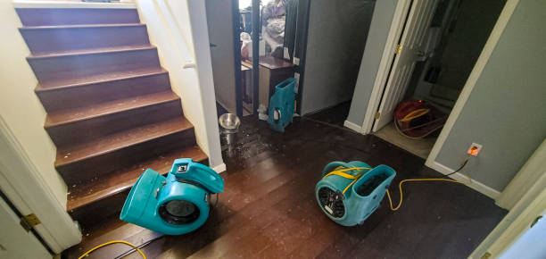 Best Commercial water damage restoration  in Camilla, GA