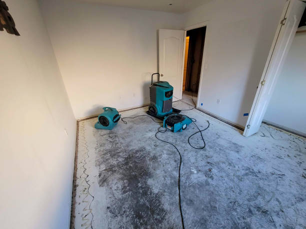 Best Flood damage cleanup  in Camilla, GA