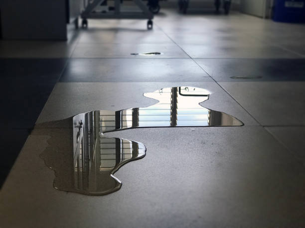 Best 24/7 water damage repair  in Camilla, GA