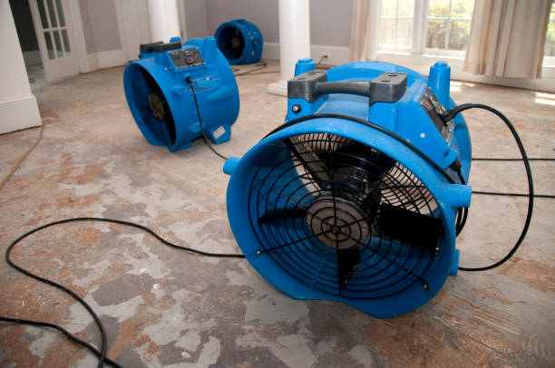 Best 24-hour water damage restoration  in Camilla, GA