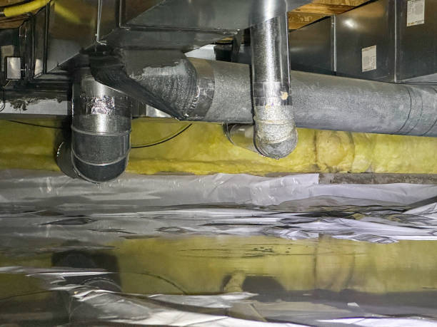 Best Flood damage cleanup  in Camilla, GA