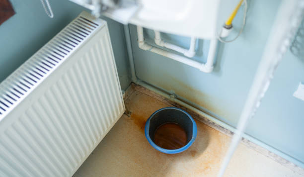 Best Flood restoration services  in Camilla, GA