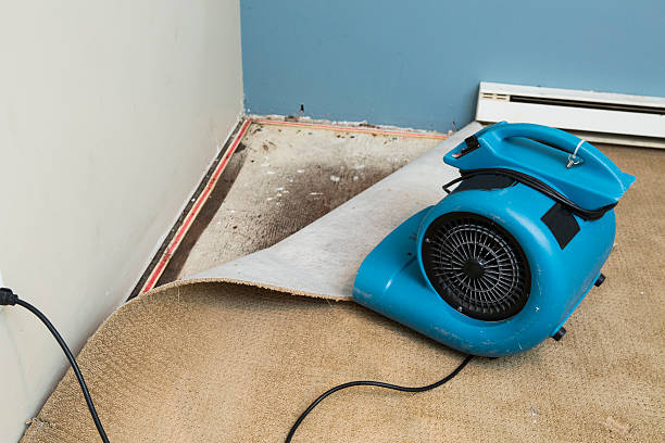 Best Ceiling water damage repair  in Camilla, GA